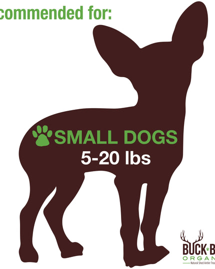 Elk Antler Small Split Dog Chew - Banded
