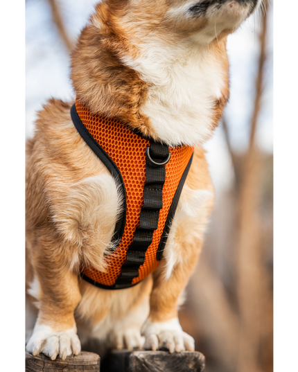 K9 Sport Harness: Anthracite Black / X-Small (11-13" Neck 11-15" Chest)