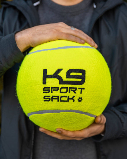 Too Big to Chew Tennis Ball
