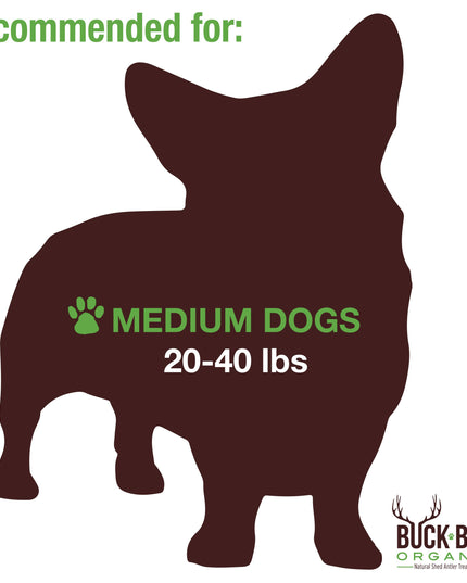 Elk Antler Medium Split Dog Chew, Banded
