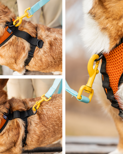 K9 Sport Harness: Anthracite Black / Large (17-19" Neck 17-24" Chest)