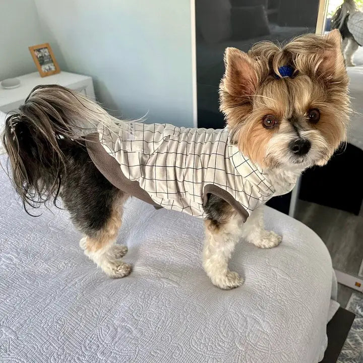 Casper Mackinac Island Dog Hoodie
