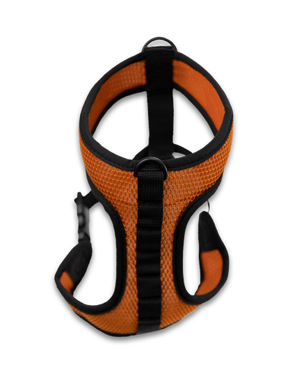 K9 Sport Harness: Anthracite Black / Small (13-15" Neck 13-18" Chest)