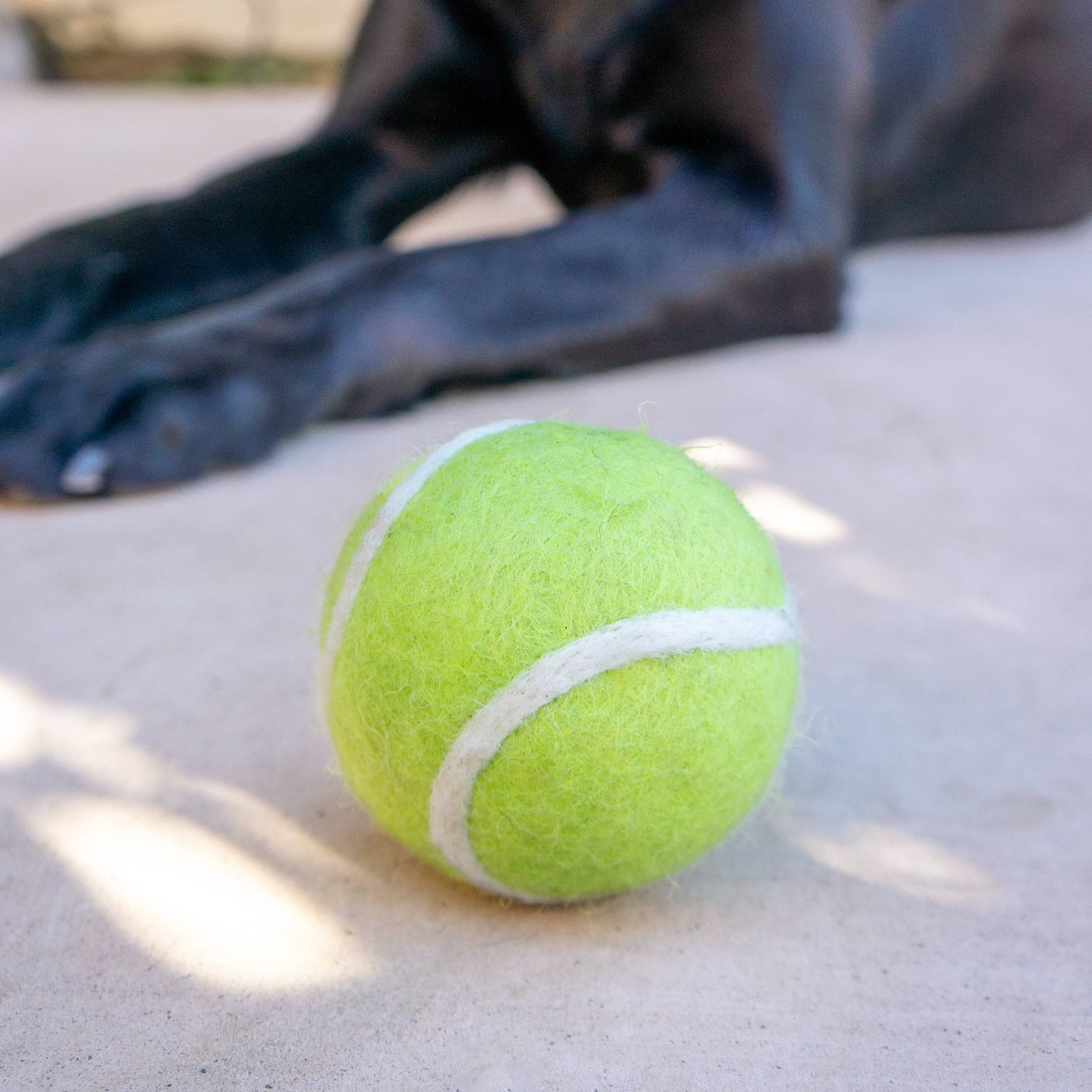 Tennis Eco Wool Dog Balls - GRAND SLAM