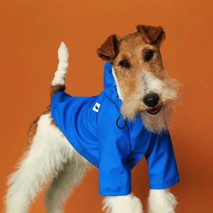 Collection image for: Dog Rain Jackets