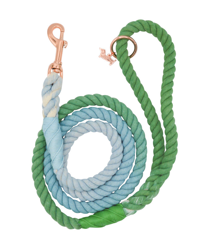Dog Rope Leash - Minty