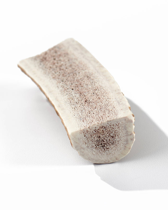 Elk Antler Medium Split Dog Chew, Banded