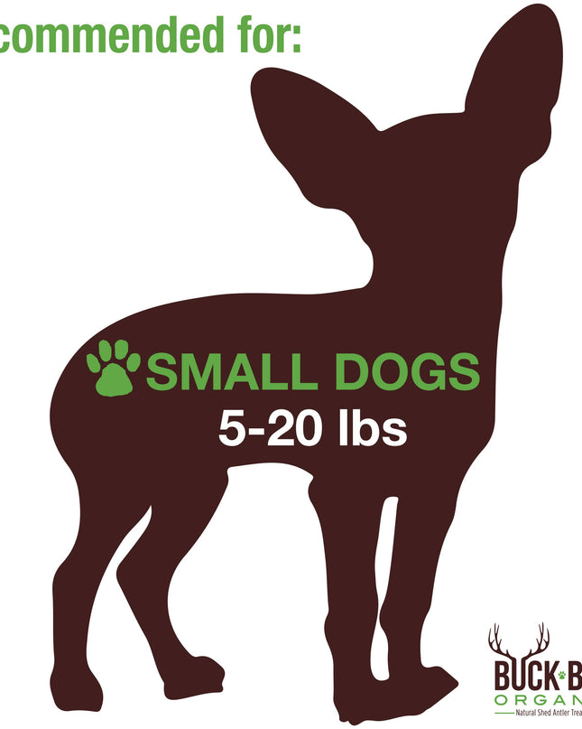 Elk Antler Small Split Dog Chew - Banded