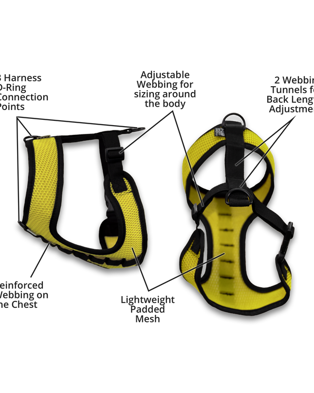 K9 Sport Harness: Anthracite Black / Small (13-15" Neck 13-18" Chest)
