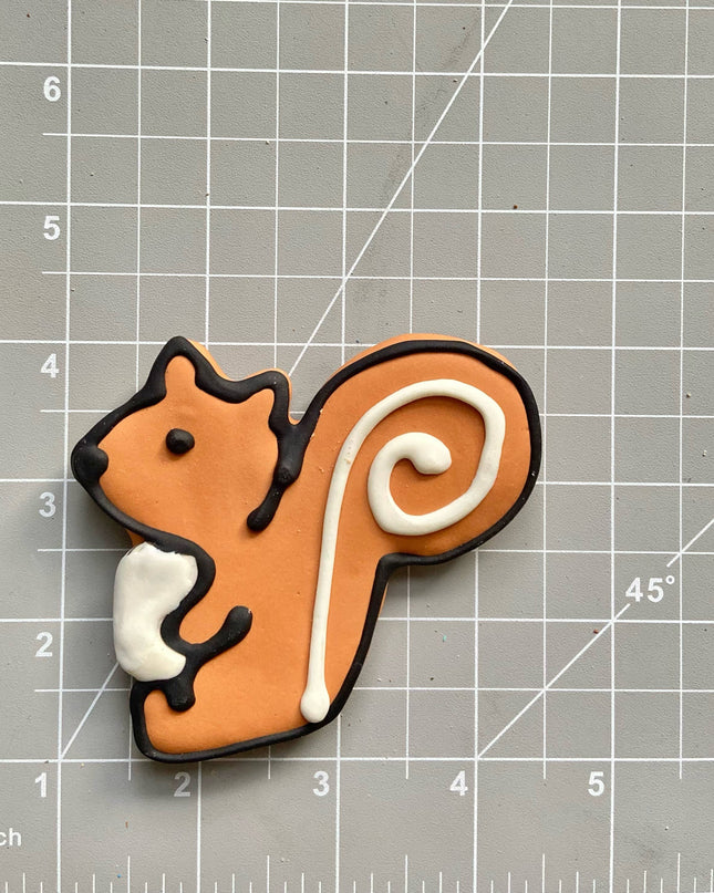 Squirrel
