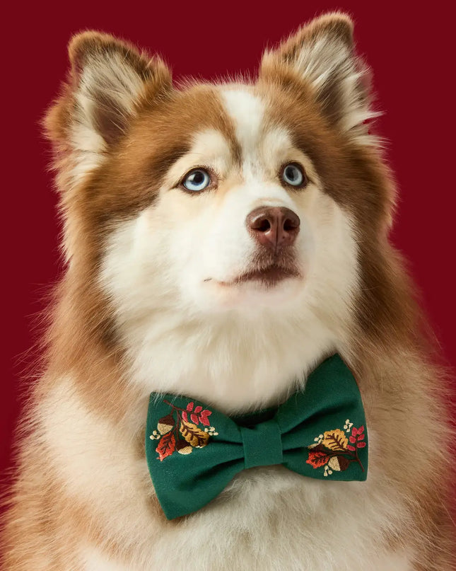 Fall Foliage Embroidered Dog Bow Tie