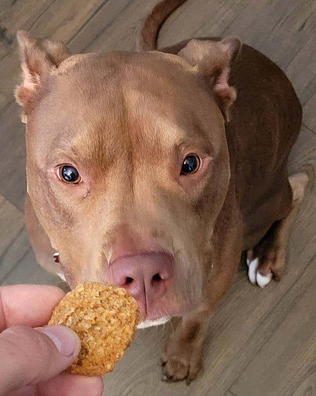 8oz Peanut Butter & Blueberry Soft Chewy Dog Treats: 8oz