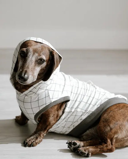 Casper Mackinac Island Dog Hoodie
