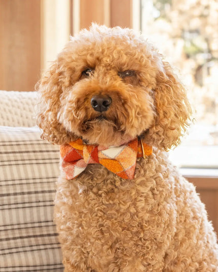 Pumpkin Spice Plaid Flannel Fall Dog Bow Tie