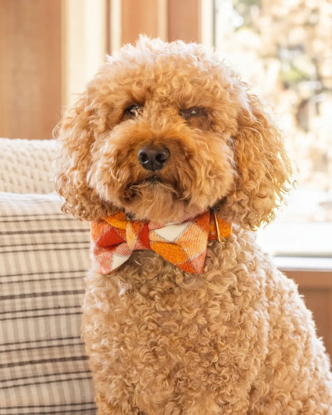 Pumpkin Spice Plaid Flannel Fall Dog Bow Tie