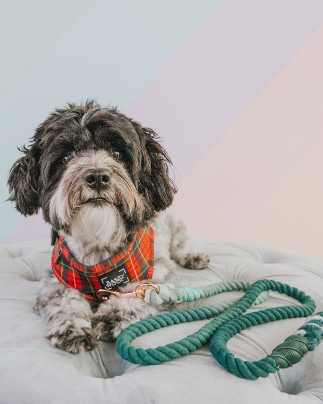 Dog Rope Leash - Hunter