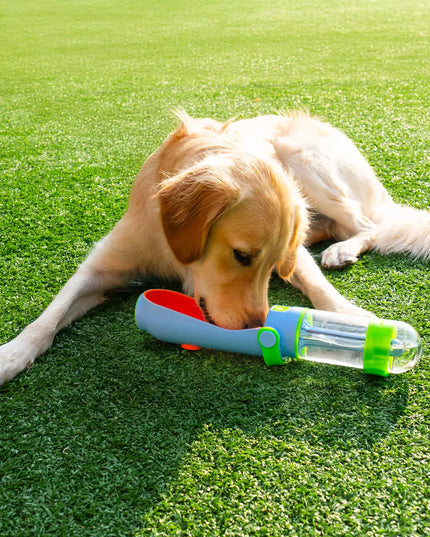 Lil Gulp Dog Water Bottle Cotton Candy