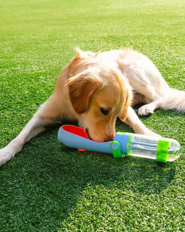 Lil Gulp Dog Water Bottle Sherbet Soaker