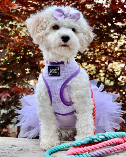 Dog Rope Leash - Unicorn