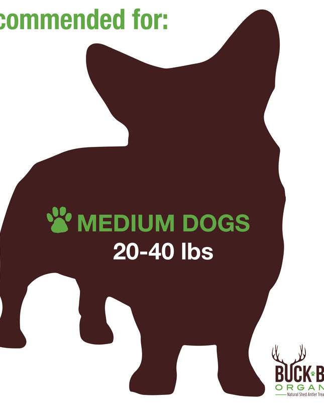 Elk Antler Dog Chew Medium Split Double Pack