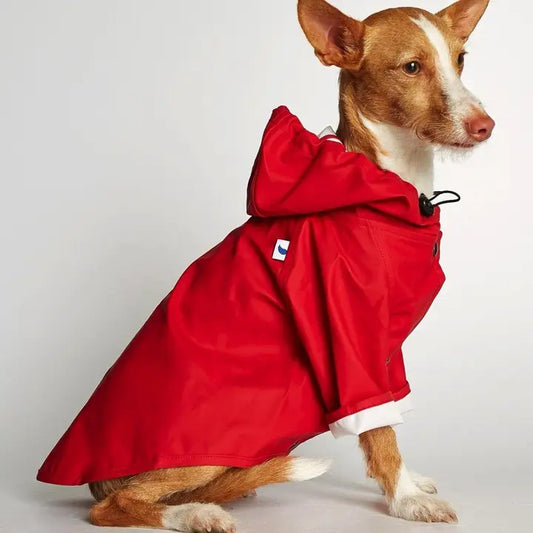 Eco-Friendly Raincoat Red