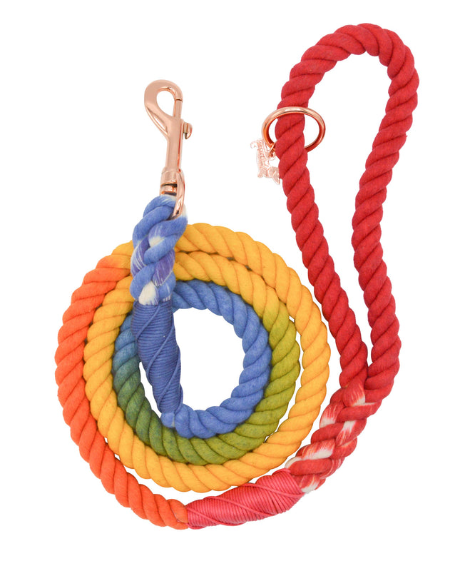Dog Rope Leash - Taste the Rainbow