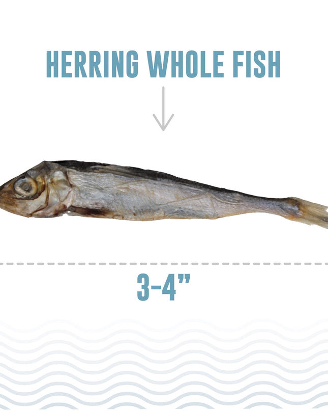 Herring Whole Fish Dog Treats