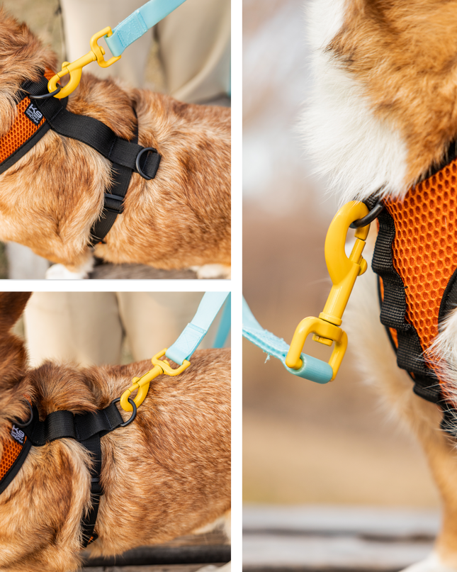 K9 Sport Harness: Anthracite Black / X-Small (11-13" Neck 11-15" Chest)