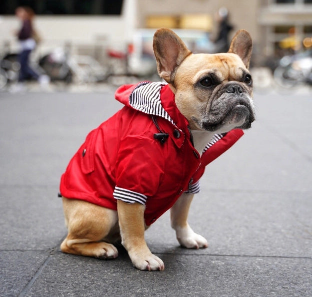 Red Ellie Rain Jacket