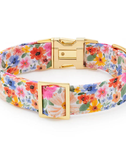 Margaux Dog Collar