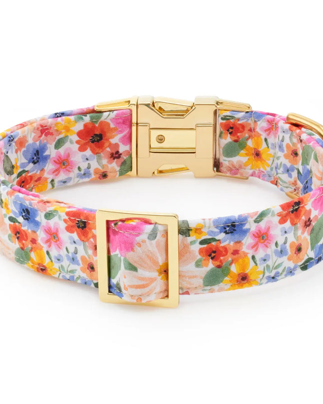 Margaux Dog Collar