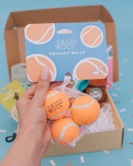 Squeaky Tennis Balls (3 Pack)
