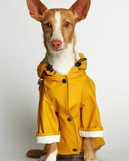 Eco-Friendly Raincoat yellow