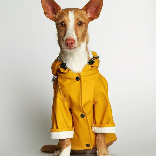 Eco-Friendly Raincoat yellow