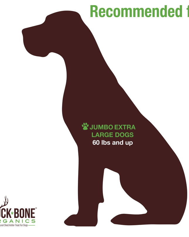 Elk Antler Jumbo Split Dog Chew, Banded