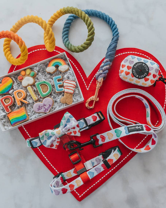Dog Rope Leash - Taste the Rainbow