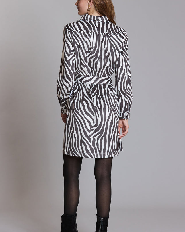 Zena Faux Suede Dress