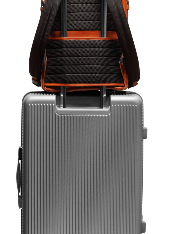 Dolce Italia Flex Backpack