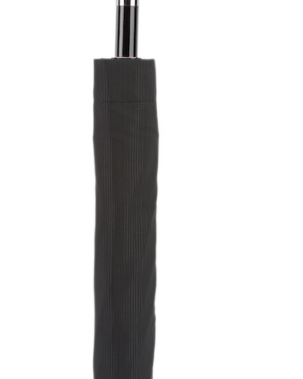 Silver Lion Folding Umbrella