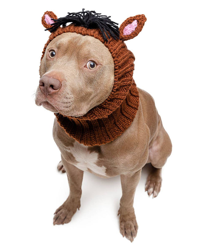 Horse Zoo Snood