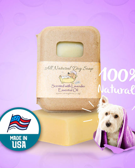Lavender Dog Shampoo Bar