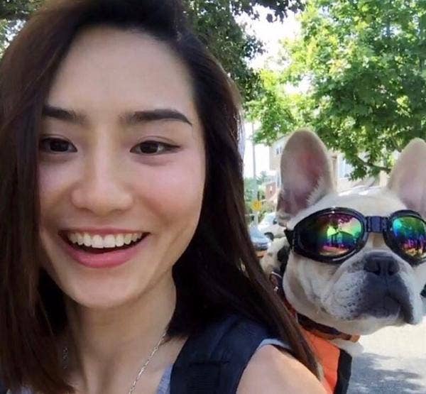 K9 Sport Shades - Dog Goggles: Clean White