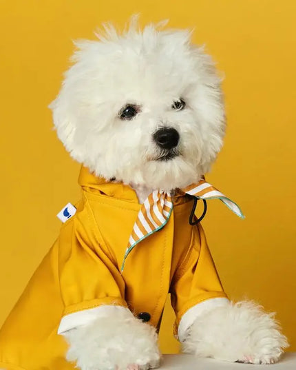 Eco-Friendly Raincoat yellow