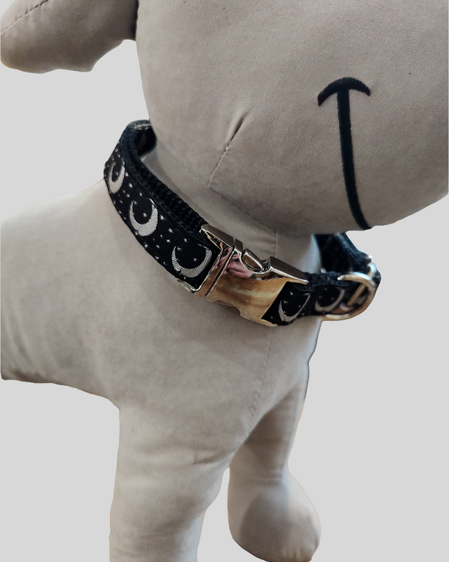 Midnight Dog Collar