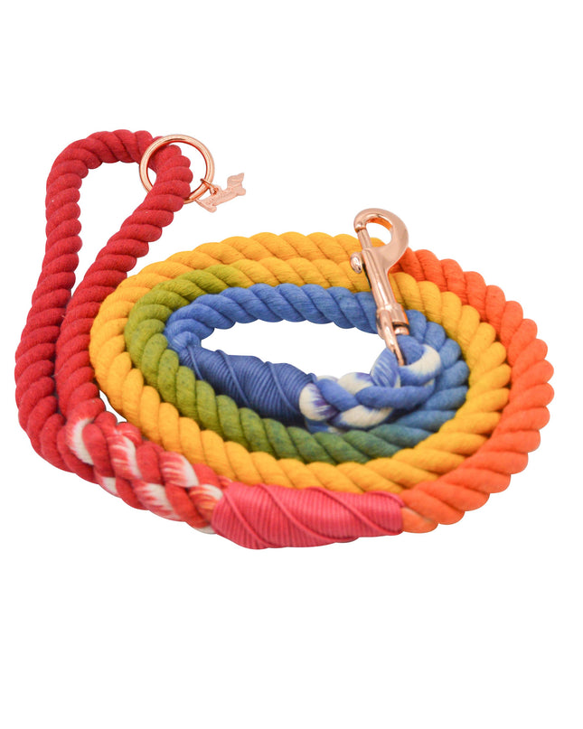 Dog Rope Leash - Taste the Rainbow