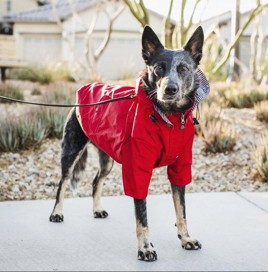 Red Ellie Rain Jacket