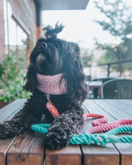 Dog Rope Leash - Unicorn