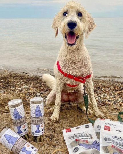 Cod Skins - 4.7oz Tube - Dog & Cat Treats