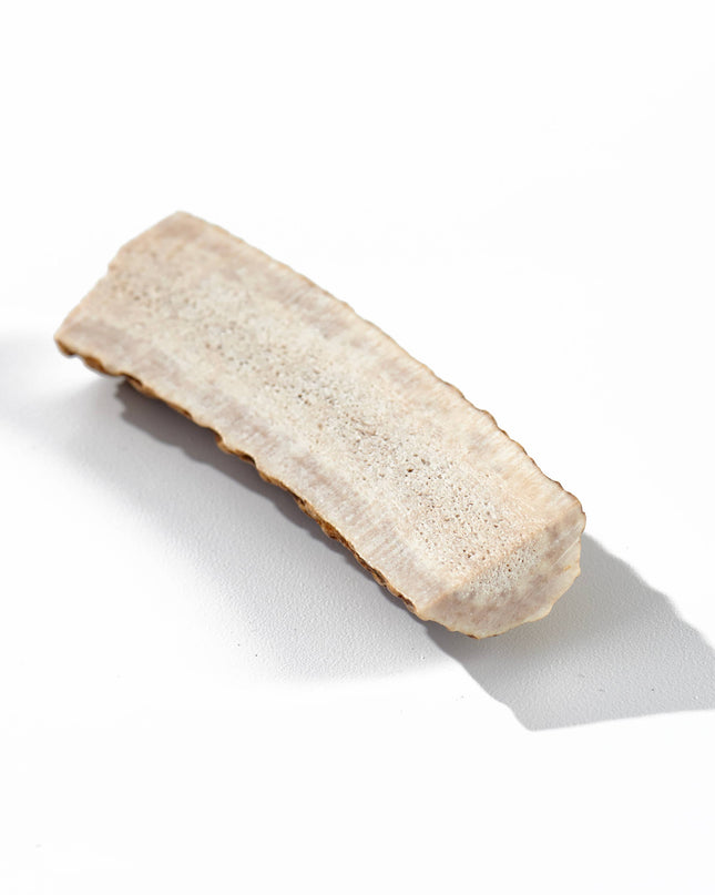 Elk Antler Small Split Dog Chew - Banded