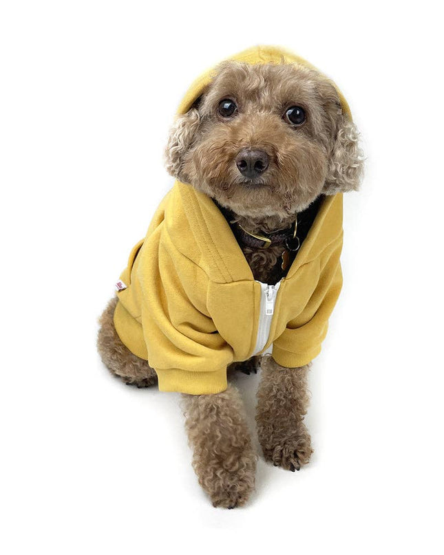 Zip Up Dog Hoodie  - Mustard Yellow: L-L